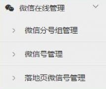 <b>微信在线管理-功能介绍</b>